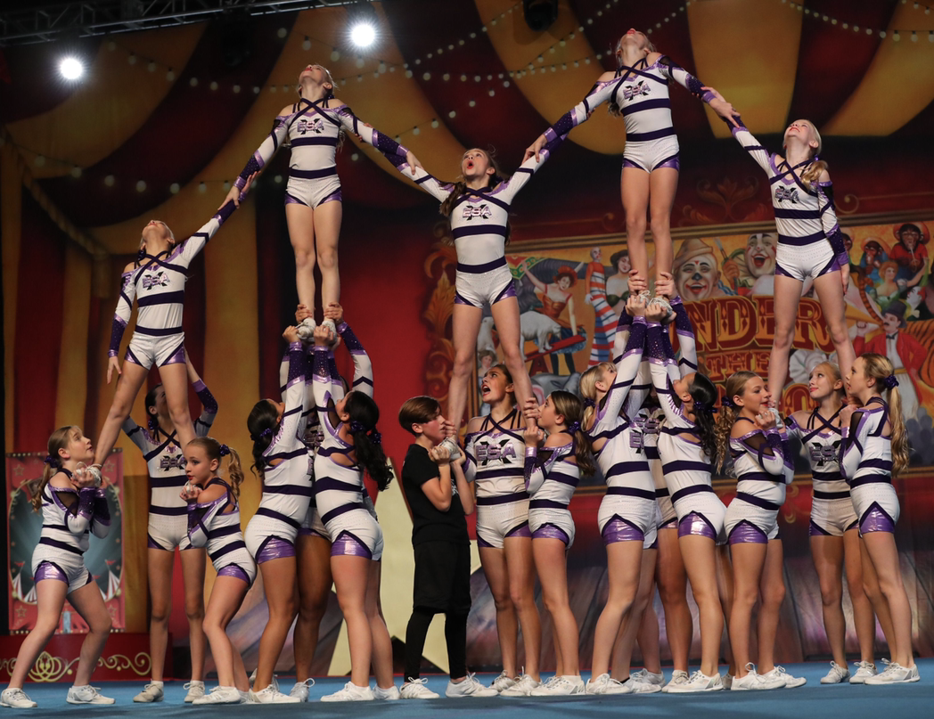 Cheetahs